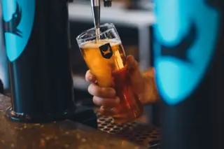 The Rise of Brewdog Beer in the Craft Beer Scene