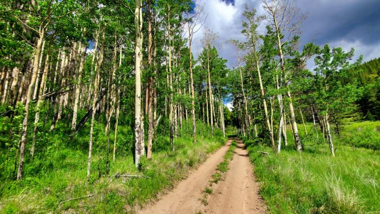 Discovering the Wonders of Colorado