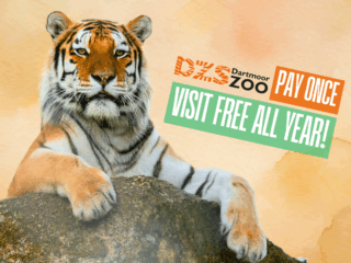 Exploring Dartmoor Zoo: A Must-Visit Wildlife Experience