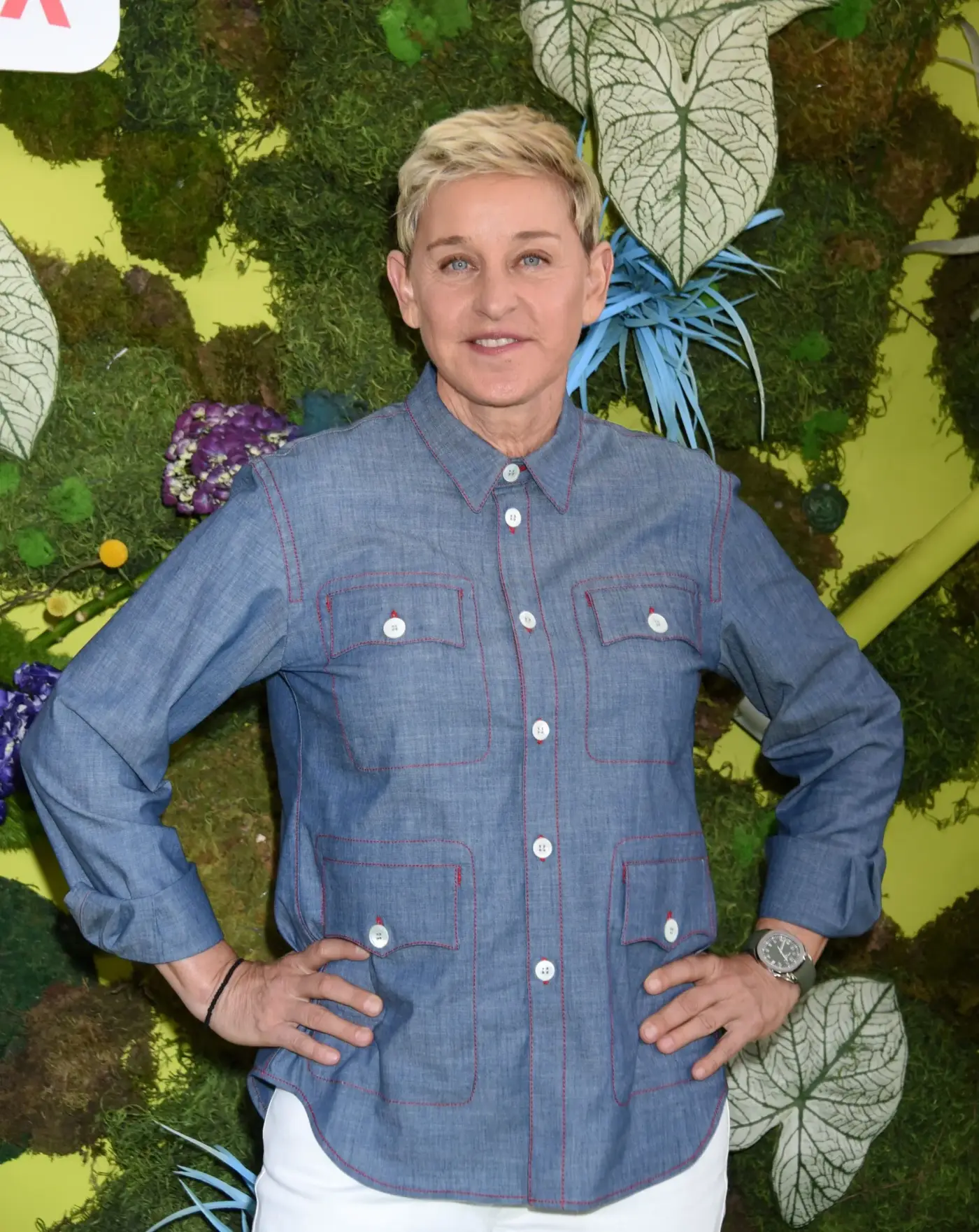 The Impact of Ellen DeGeneres on Entertainment and Society