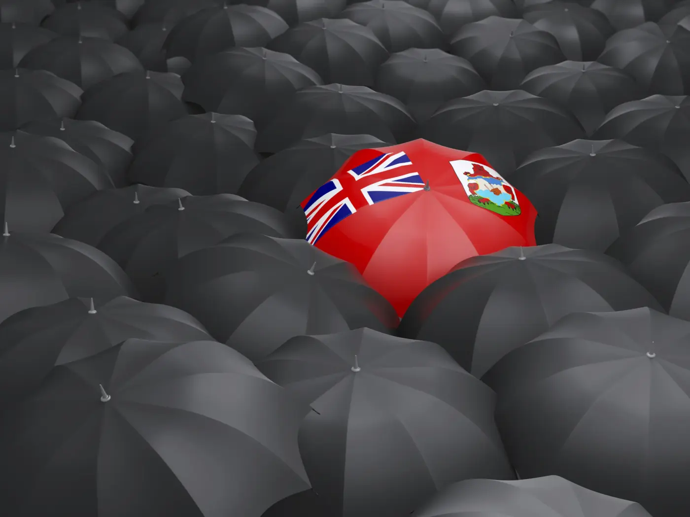 The Rise of Expats Renouncing British Citizenship