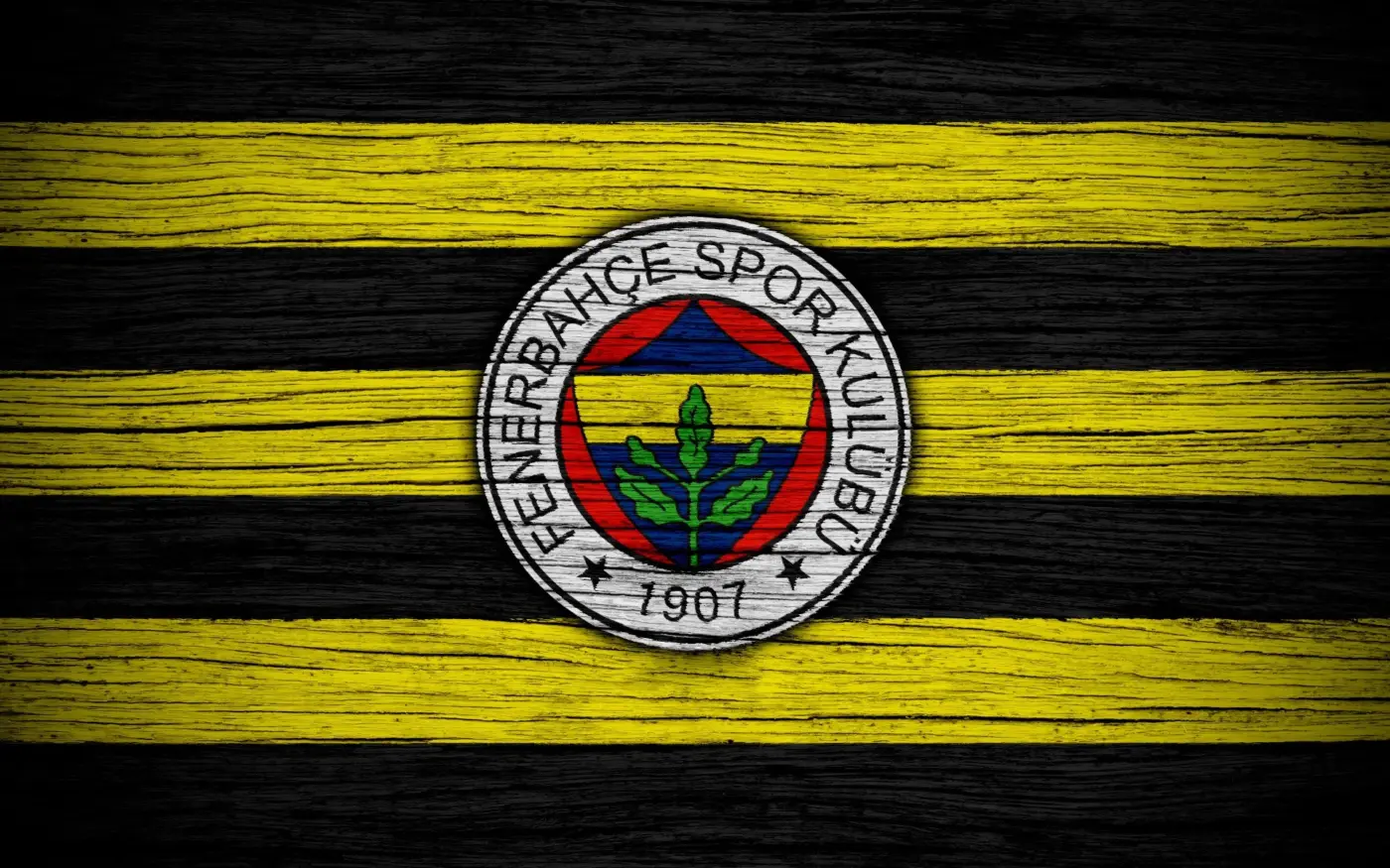 The Impact and Legacy of Fenerbahçe in Turkish Football