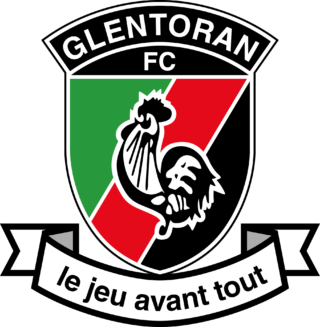 Exploring Glentoran FC: A Historic Northern Irish Club