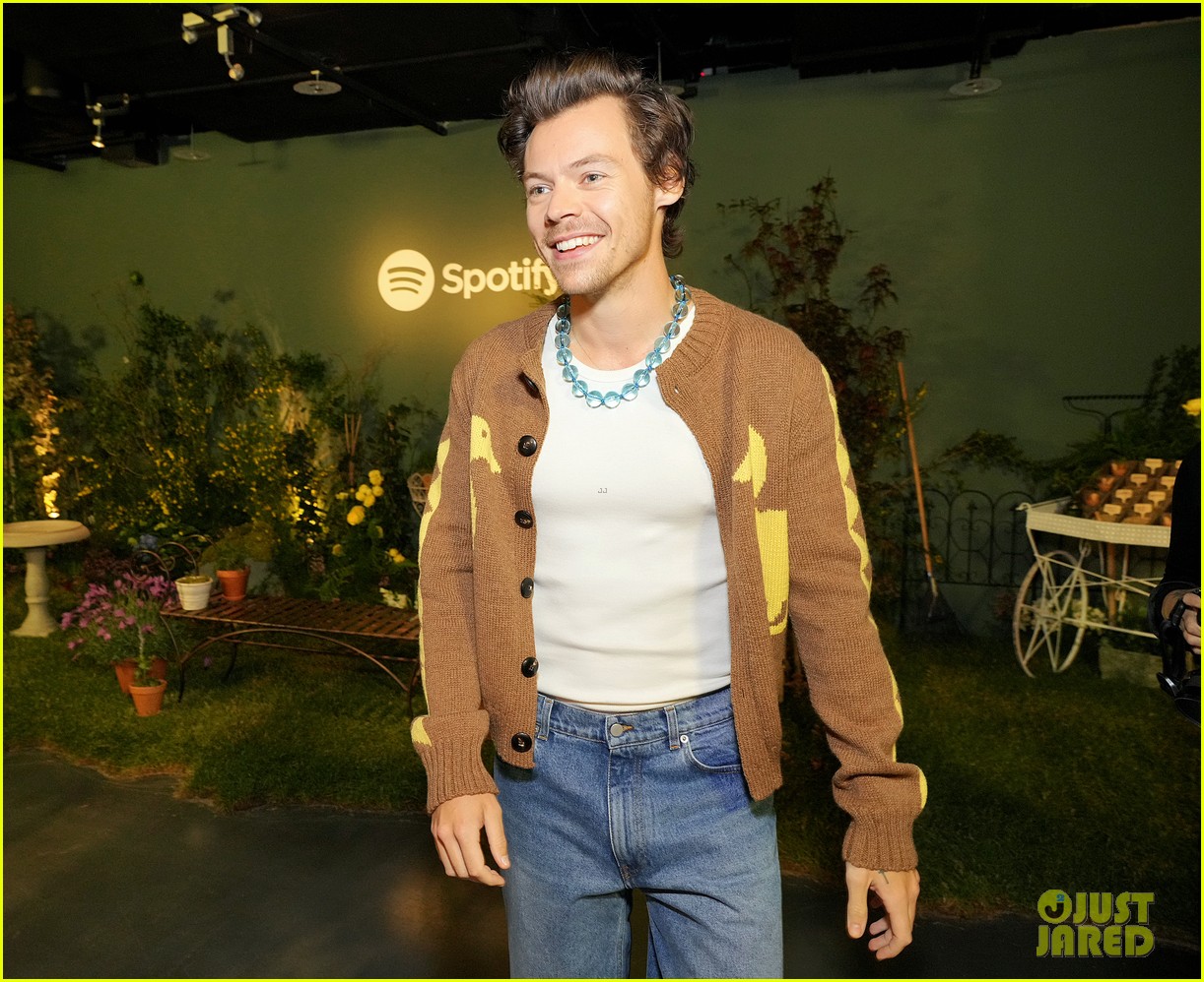 Experience the Vibe: Harry Styles Listening Party Recap