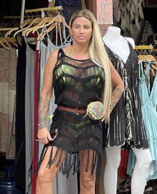 The Life and Times of Katie Price: A Celebrity Journey