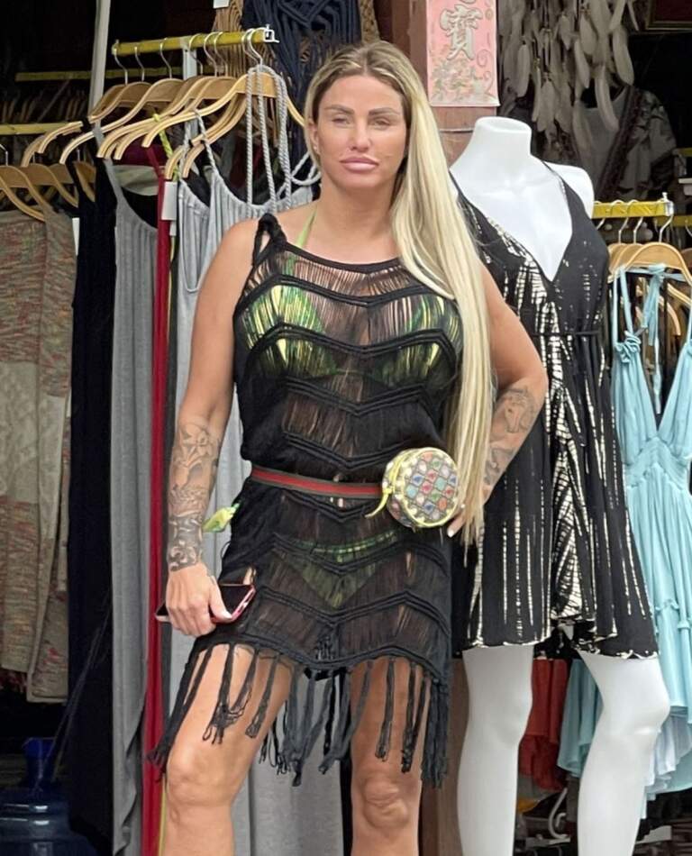 The Life and Times of Katie Price: A Celebrity Journey