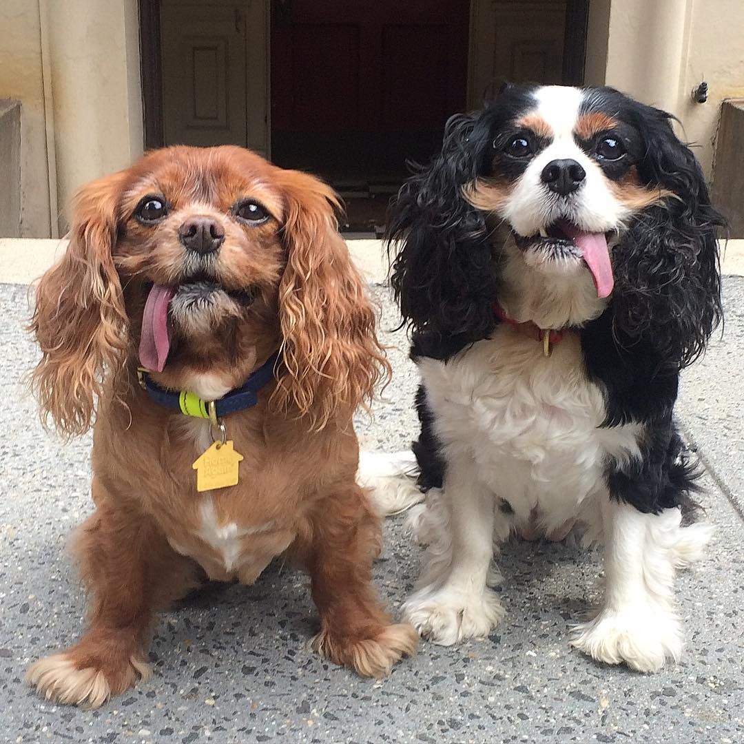 King Charles: Navigating a New Era for the British Monarchy