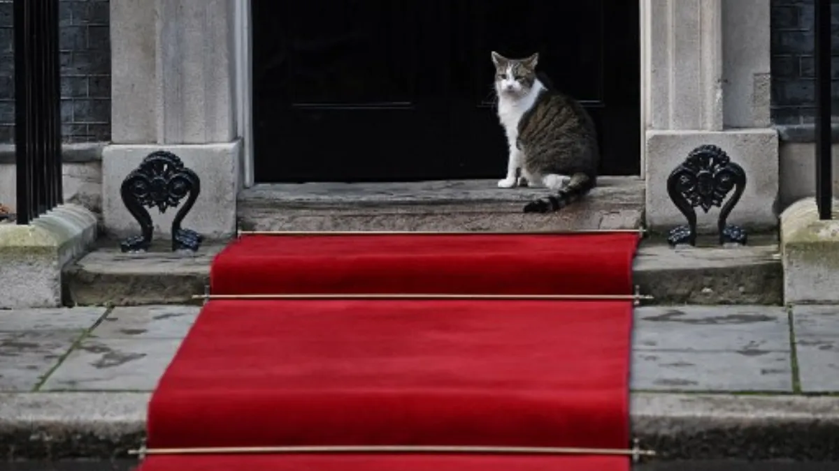 The Life and Legacy of Larry the Cat