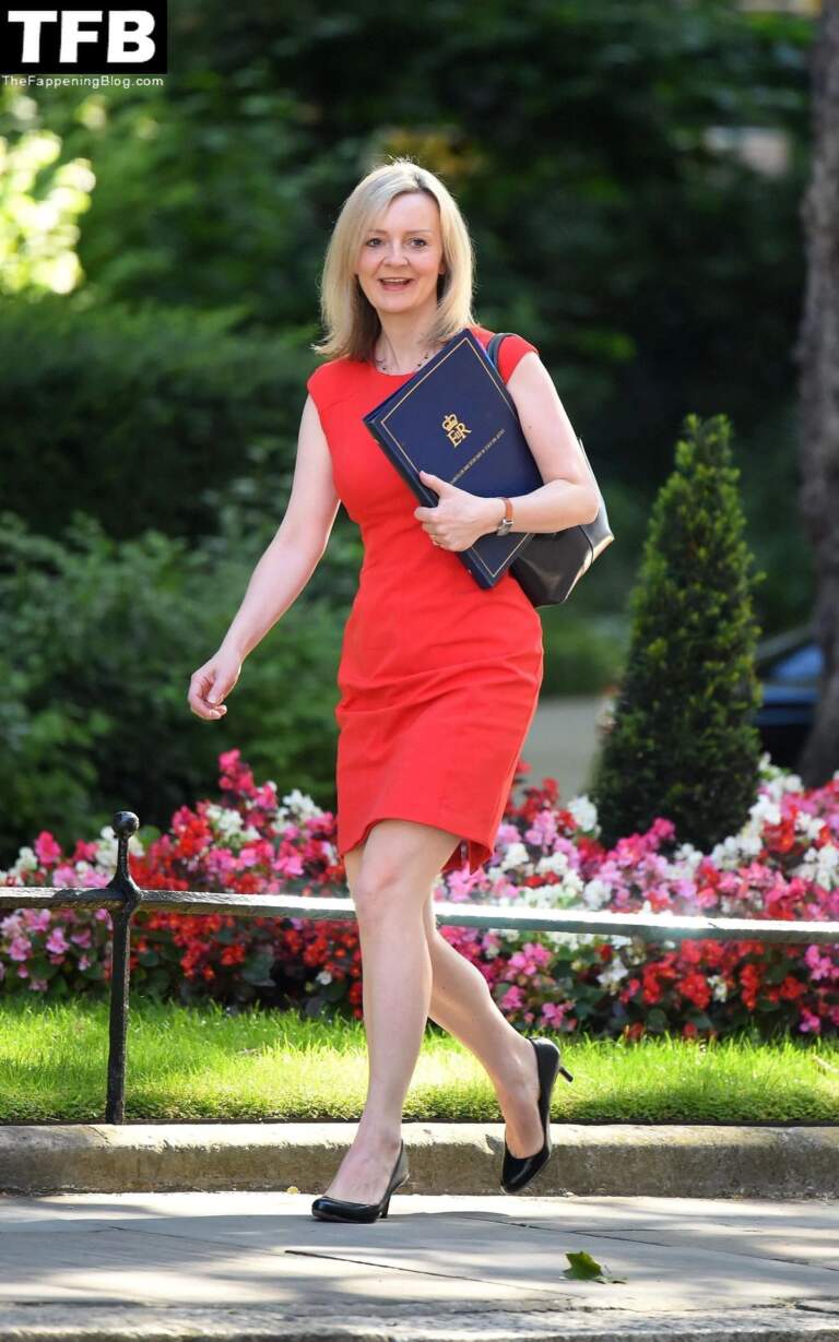 The Rise and Fall of Liz Truss: A Political Overview