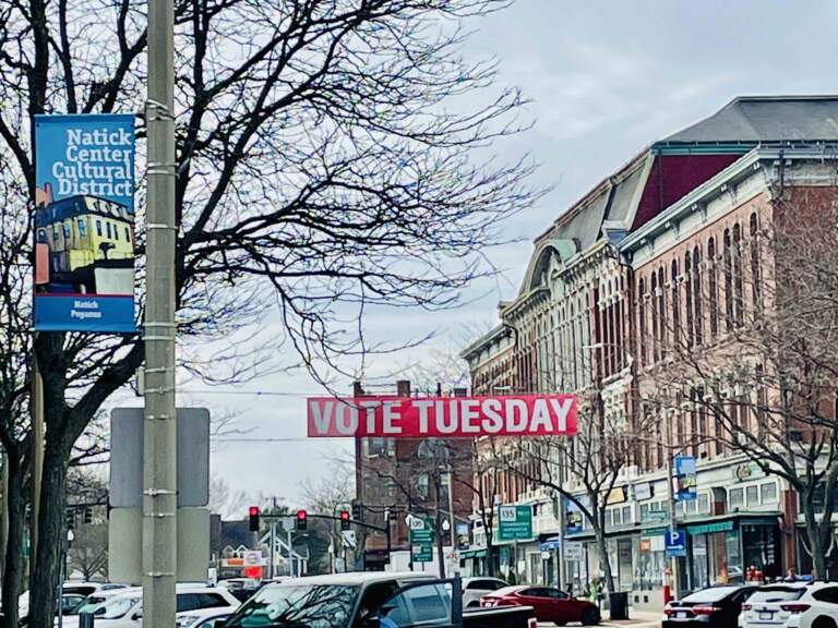 Understanding Local Elections 2023 and Their Impact