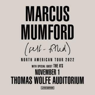 The Evolution of Marcus Mumford and His Musical Impact