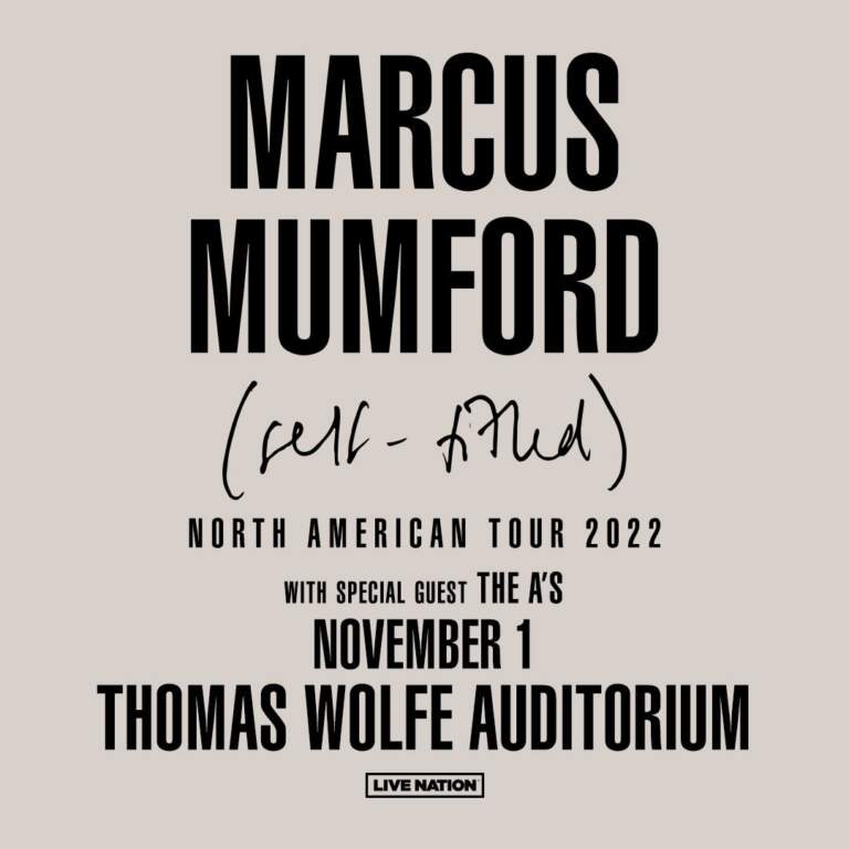 The Evolution of Marcus Mumford and His Musical Impact