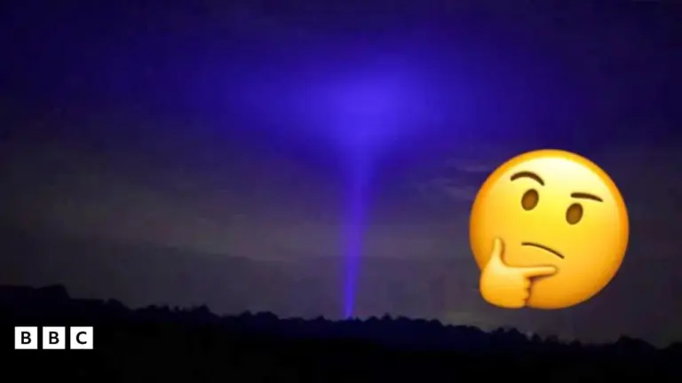 What’s the Buzz About the Flying Banana? A Newsround Update