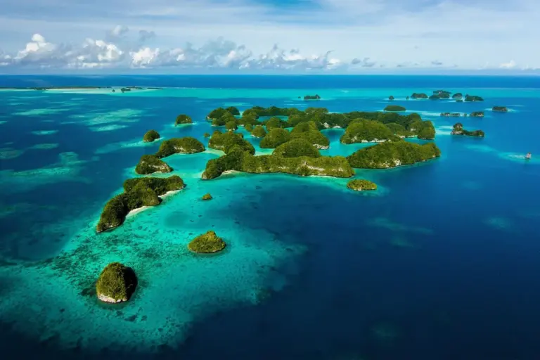 What We Know About the Recent Developments at Palau International Airport