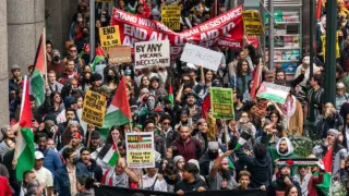 Understanding Palestine Action and Its Activism