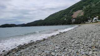 Exploring the Beauty and History of Pebble Beach