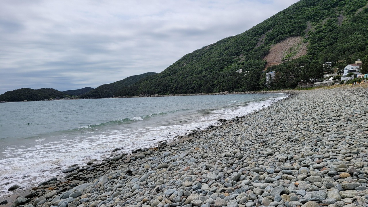 Exploring the Beauty and History of Pebble Beach
