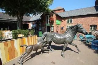Exploring Ringwood: Melbourne’s Vibrant Suburb