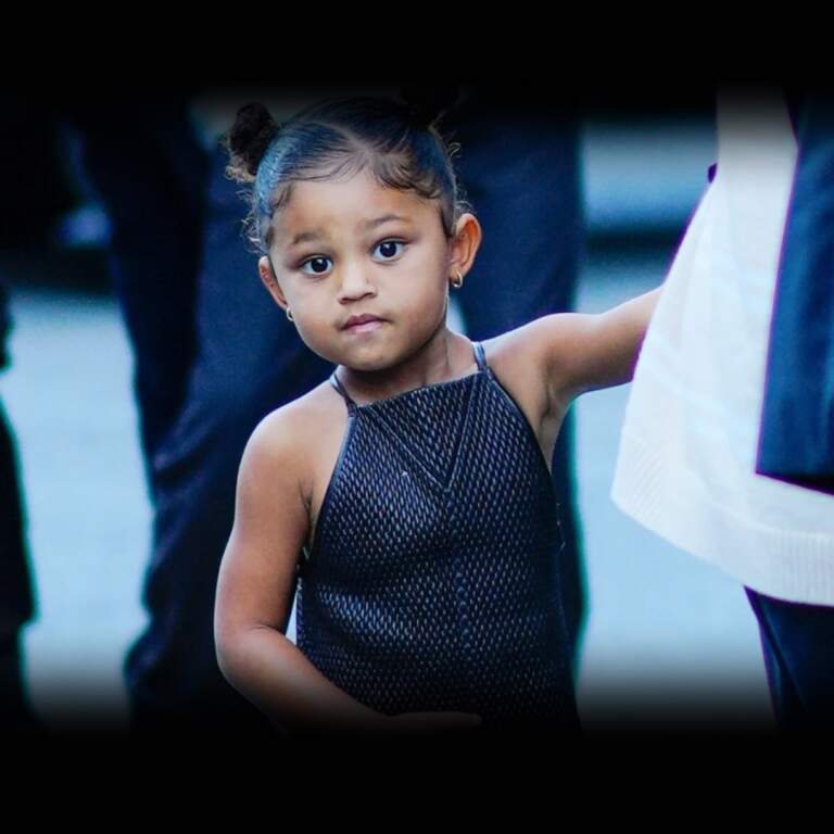 The Impact of Stormi Webster in Celebrity Culture