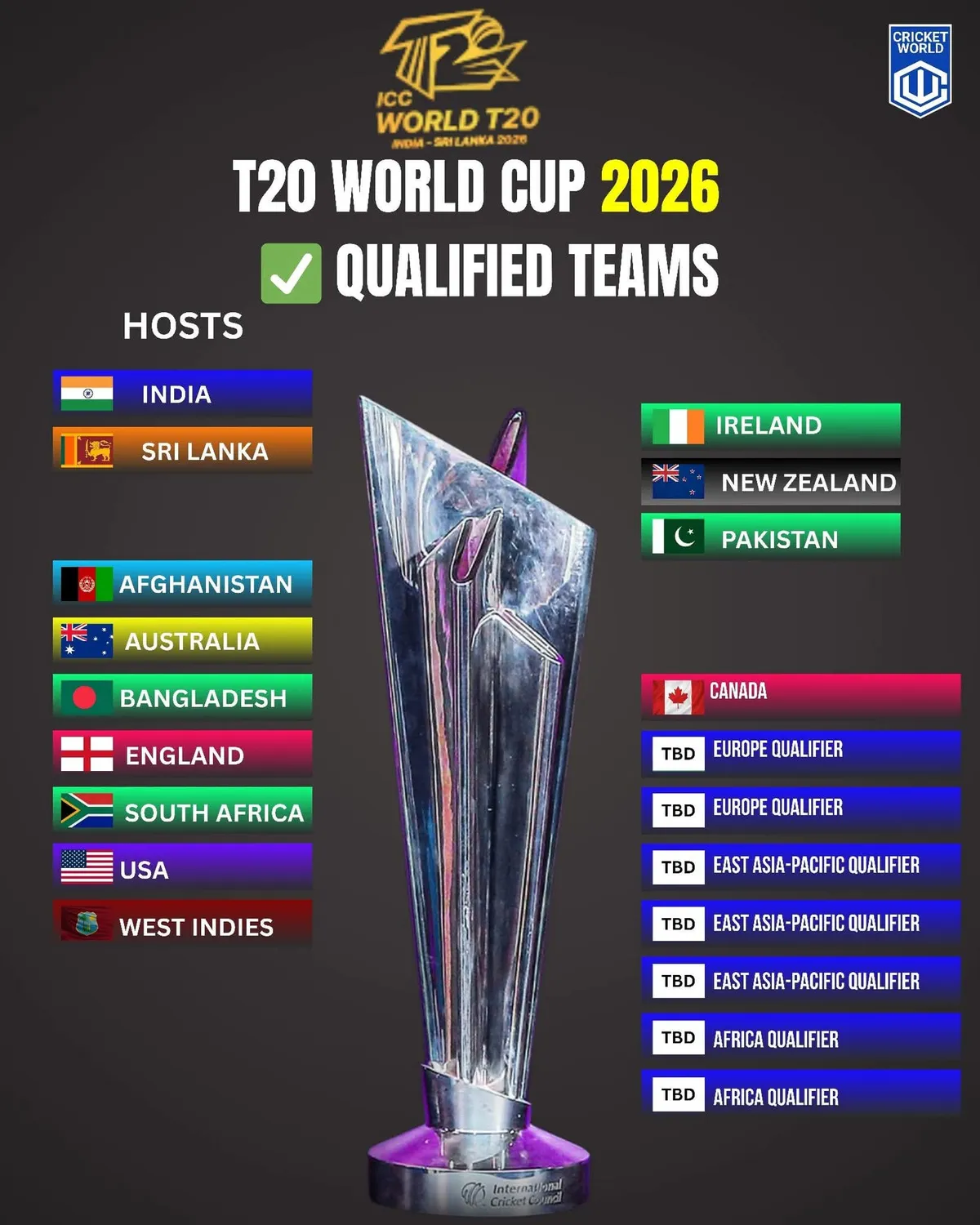 What Are the Latest t20 world cup standings as the Super Eights Heat Up?