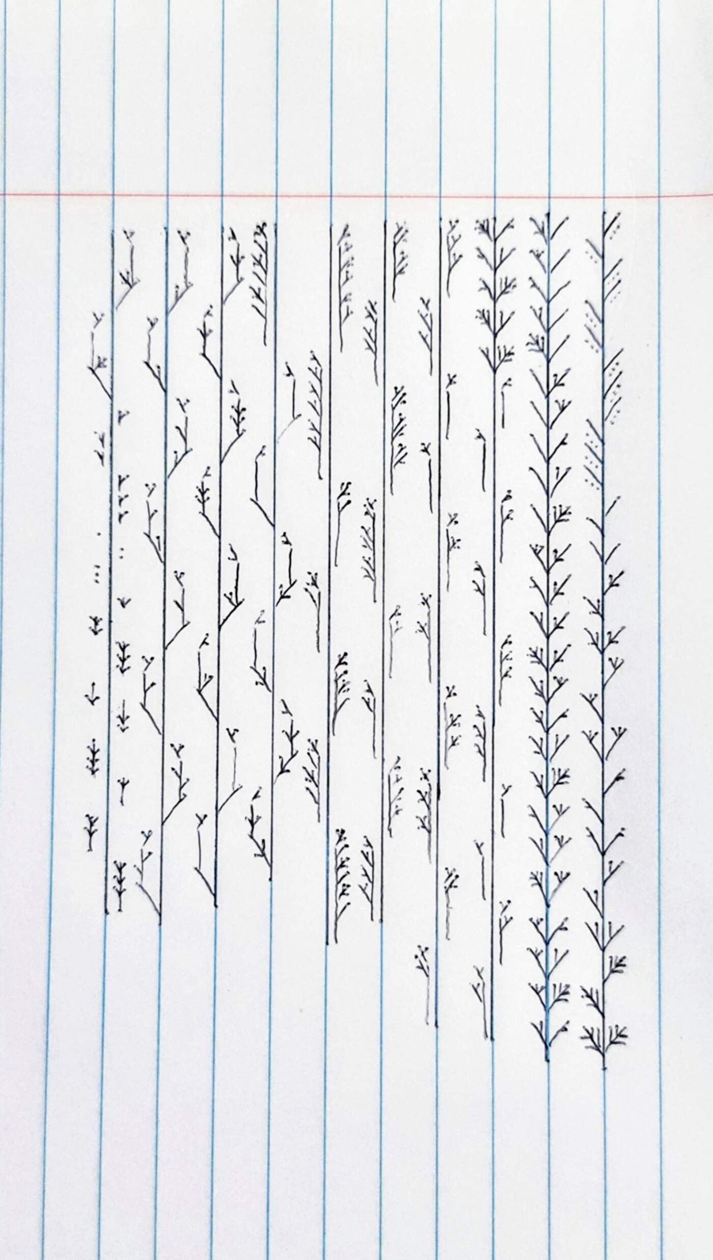 The Significance of the Letter ‘u’ in Language and Communication