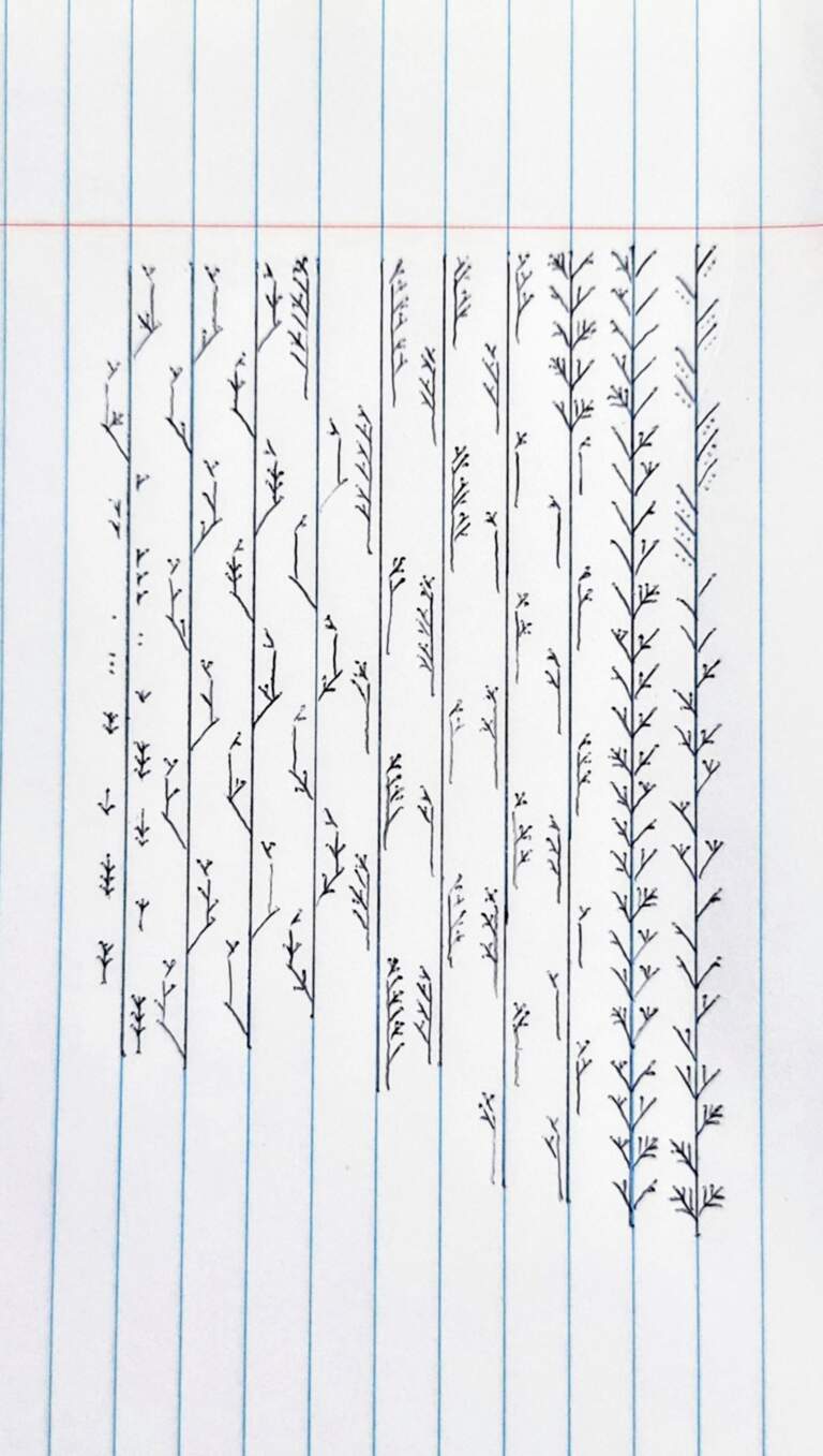 The Significance of the Letter ‘u’ in Language and Communication