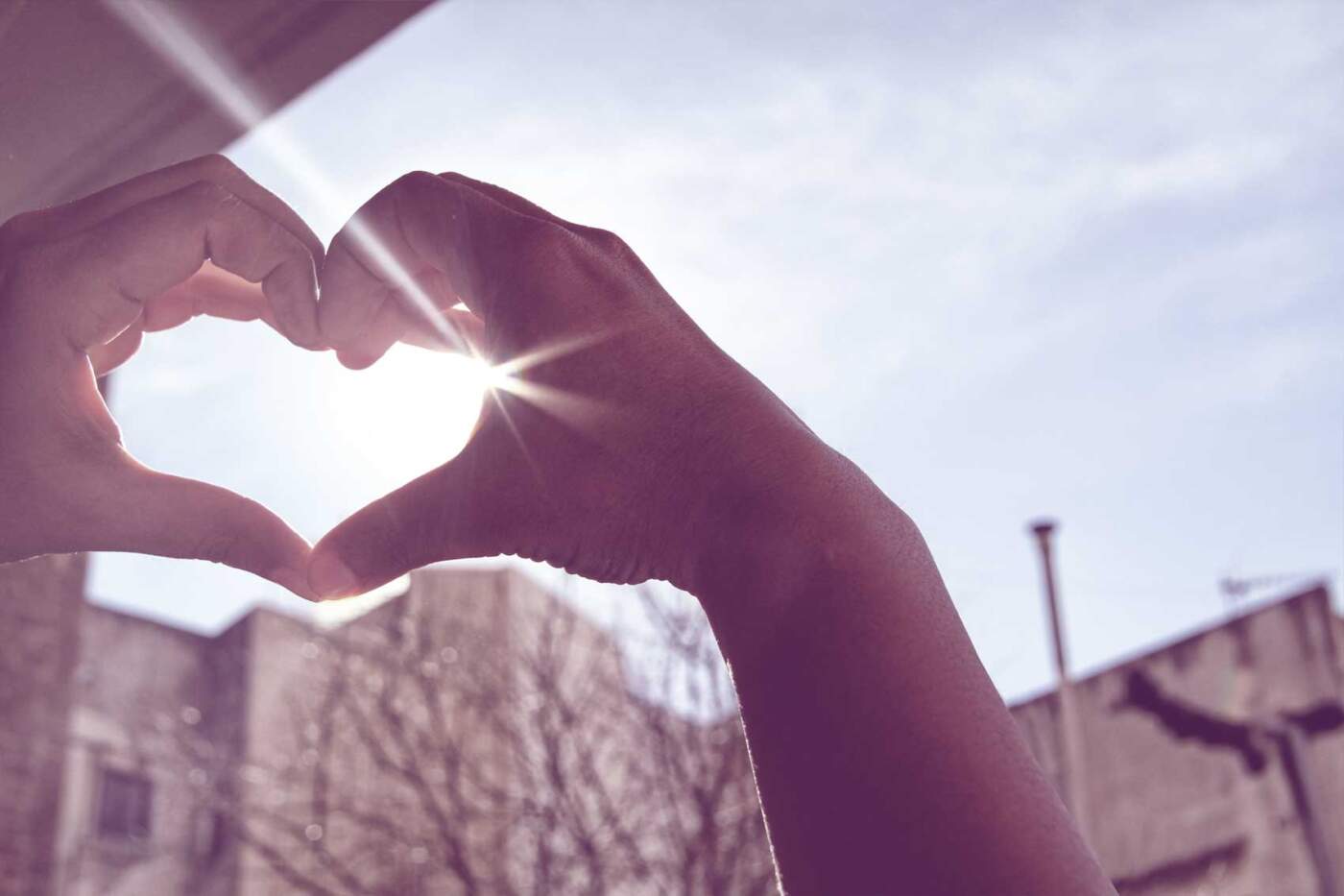 Celebrating Valentine’s Day 2024: A Guide to Love and Connection