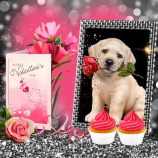 Valentine’s Day 2024: Celebrations and Traditions