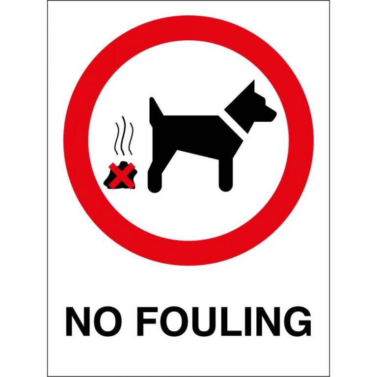 Wales Introduces New Fines for Dog Walking Regulations
