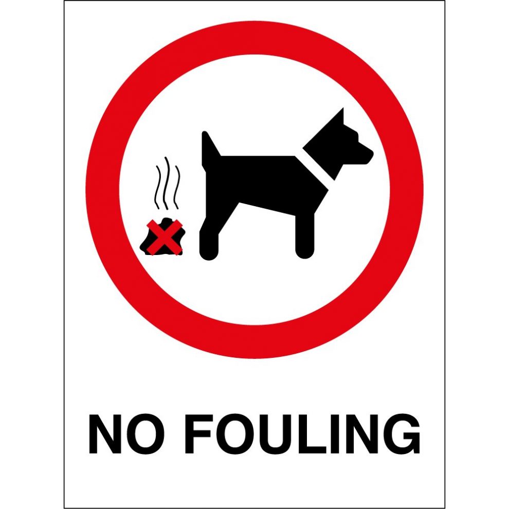 Wales Introduces New Fines for Dog Walking Regulations