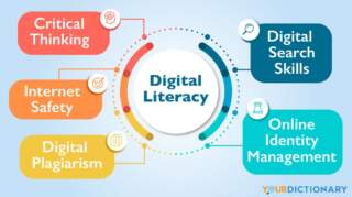 Understanding Digitally Anonymised Data