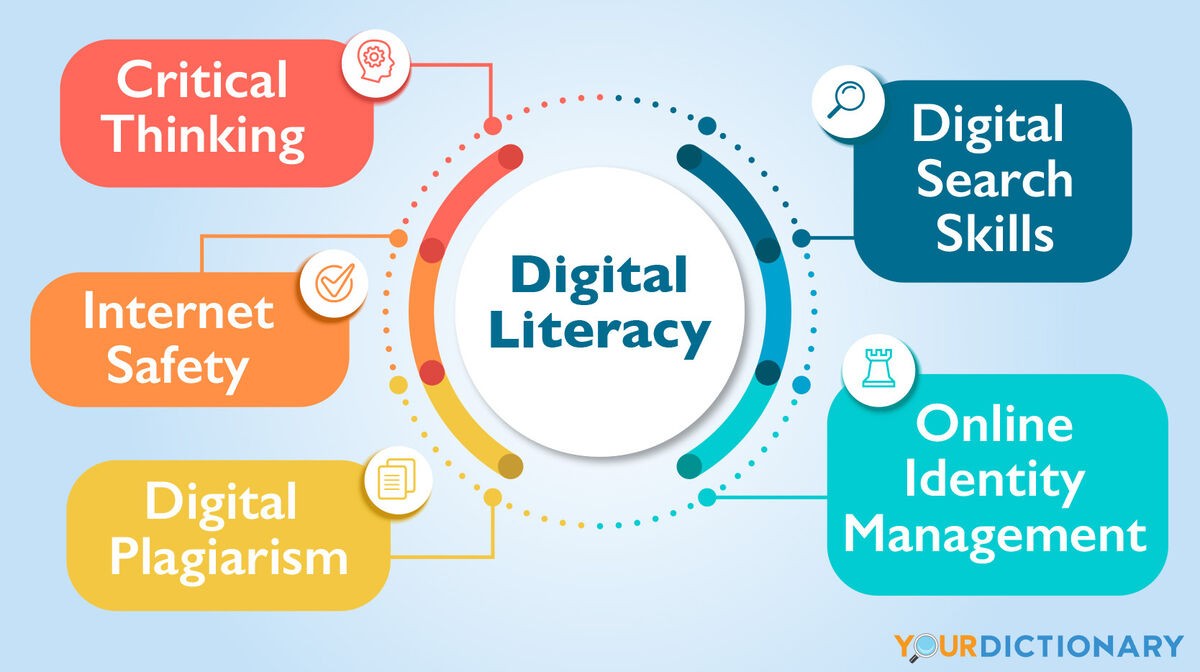 Understanding Digitally Anonymised Data