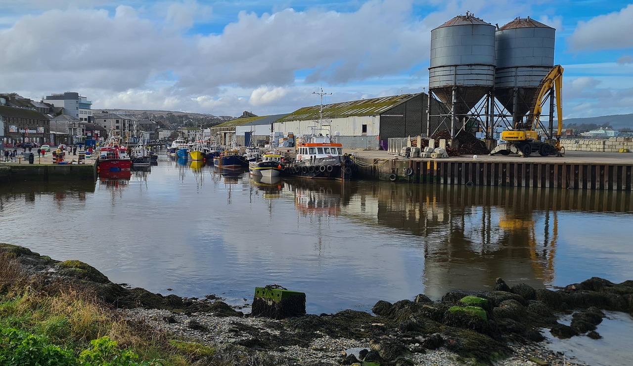 Exploring the Natural Beauty and Significance of Wicklow