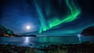 April Full Pink Moon to Illuminate the Night Sky on April 1, 2026