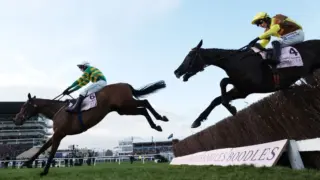 At the Races: The Cheltenham Festival 2026