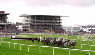Cheltenham gold cup 2026