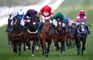 Cheltenham races results