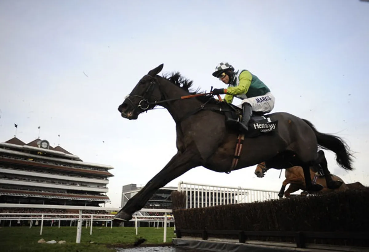 Cheltenham results today