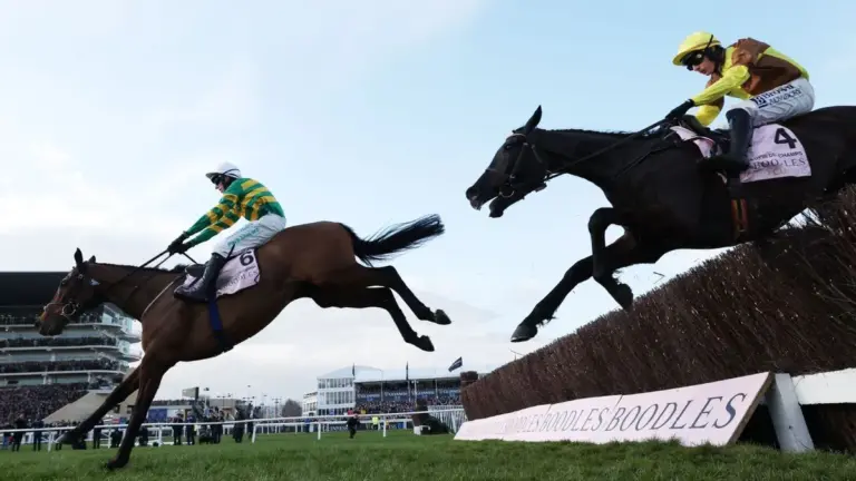 Cheltenham results