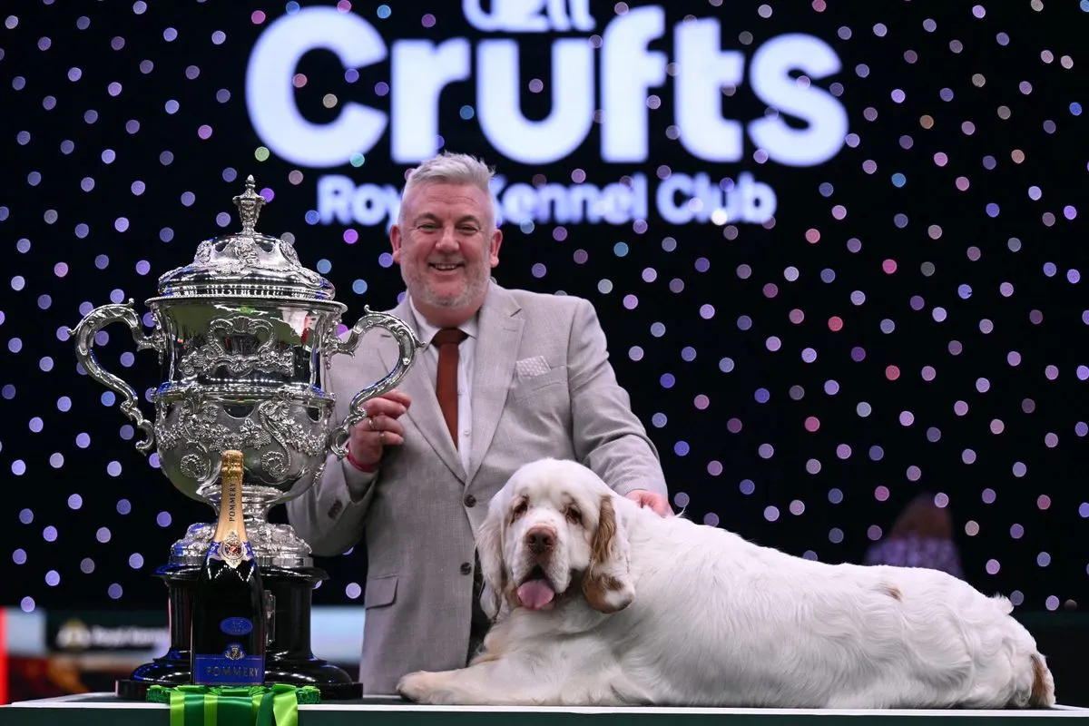 Clumber Spaniel Crufts Winner: Bruin Takes Best in Show at 2026