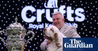 Clumber Spaniel Triumphs at Crufts 2026