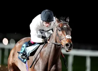 Constitution Hill Kempton: A New Chapter in Flat Racing