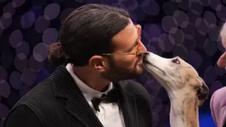 Crufts 2026 schedule
