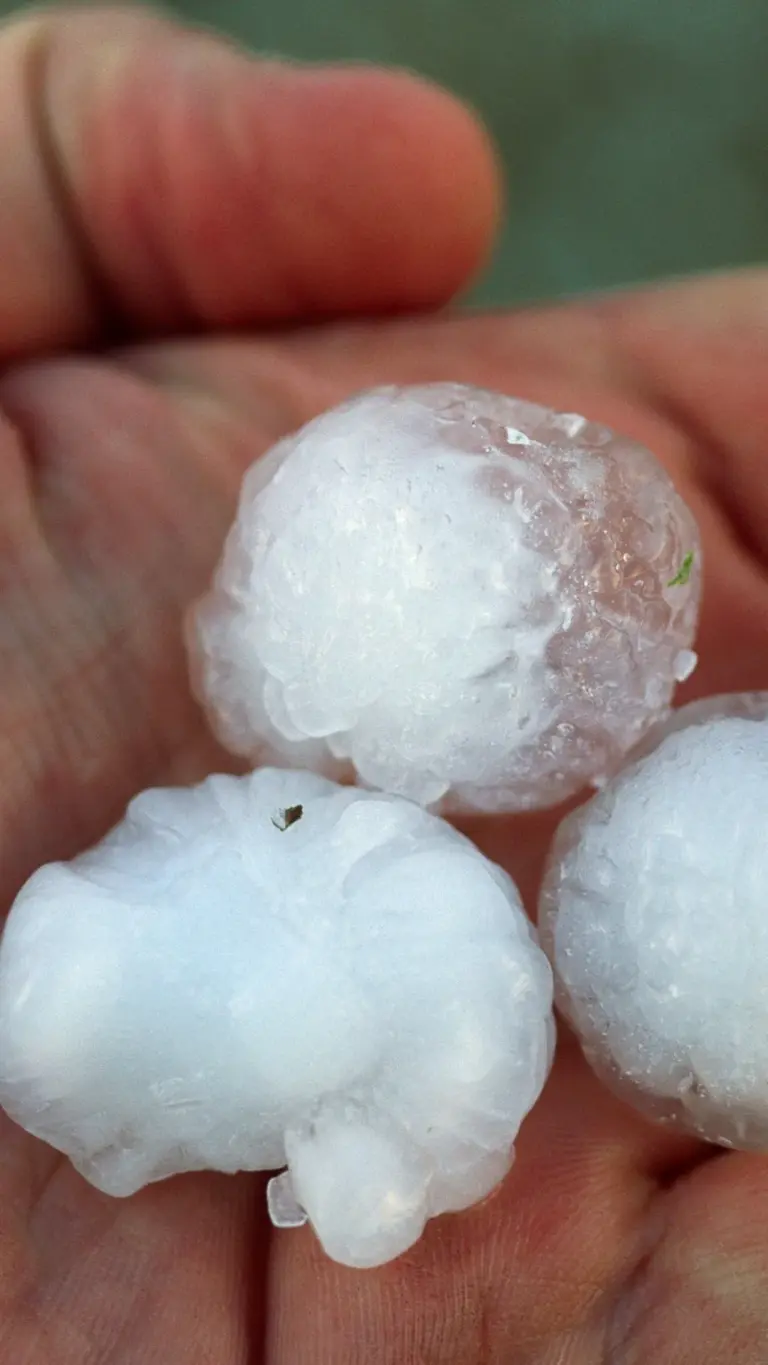 Hailstones Cause Record-Breaking Damage in Alabama and Illinois
