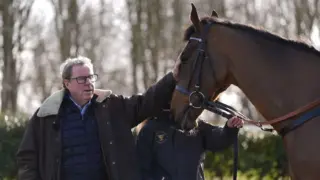 Harry Redknapp Horses Running Today: The Jukebox Man in the Cheltenham Gold Cup