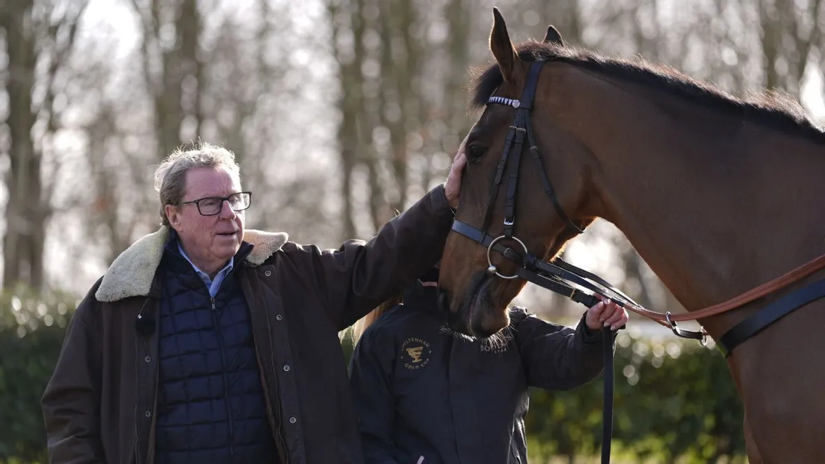 Harry Redknapp Horses Running Today: The Jukebox Man in the Cheltenham Gold Cup