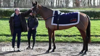 Horse racing: Breaking Development in : Harry Redknapp’s Jukebox Man at Cheltenham Festival 2026