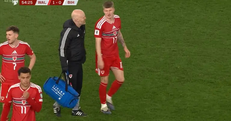 Jordan james: Cardiff’s  Faces Injury Setback During World Cup Eliminator