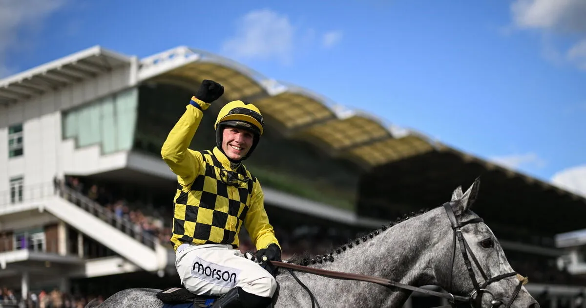 Nico de Boinville Faces Criticism After Second Place Finish at Cheltenham Festival