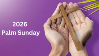 Palm Sunday 2026: A Celebration in St. Peter’s Square